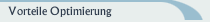 Vorteile Optimierung
